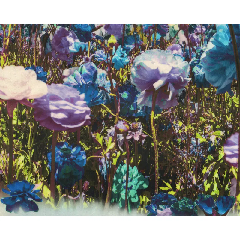 1,00-m-Rapport Viskosejersey NEELE, Rosen-Himmel, blau, Hilco