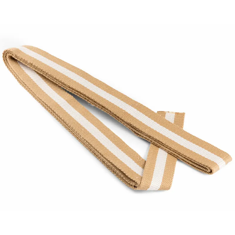 3 m Gurtband für Taschen, 40 mm, Streifen, beige, Prym