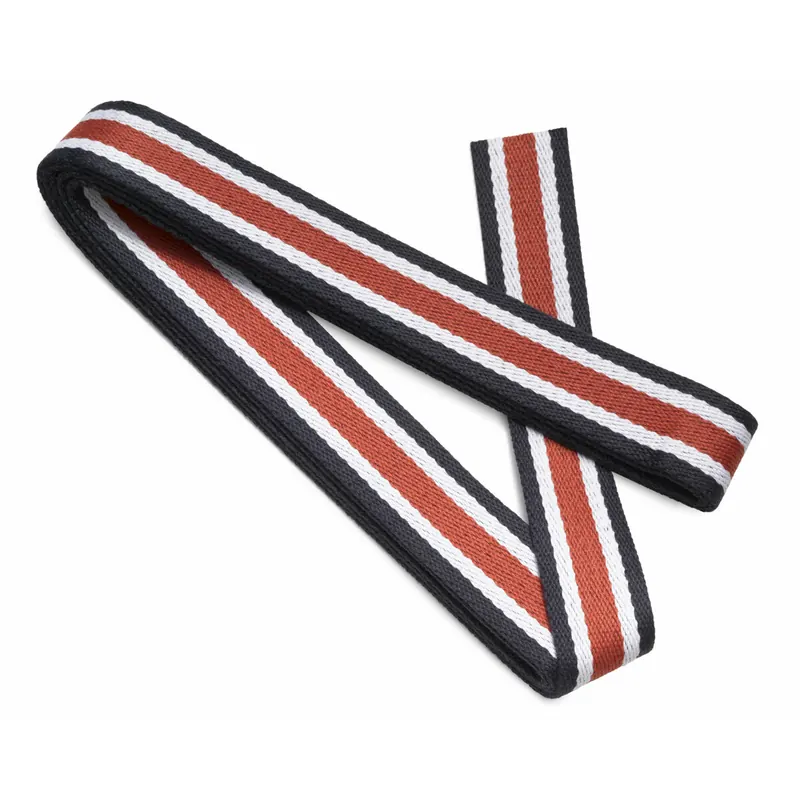 3 m Gurtband für Taschen, 40 mm, Streifen, rotbraun, Prym