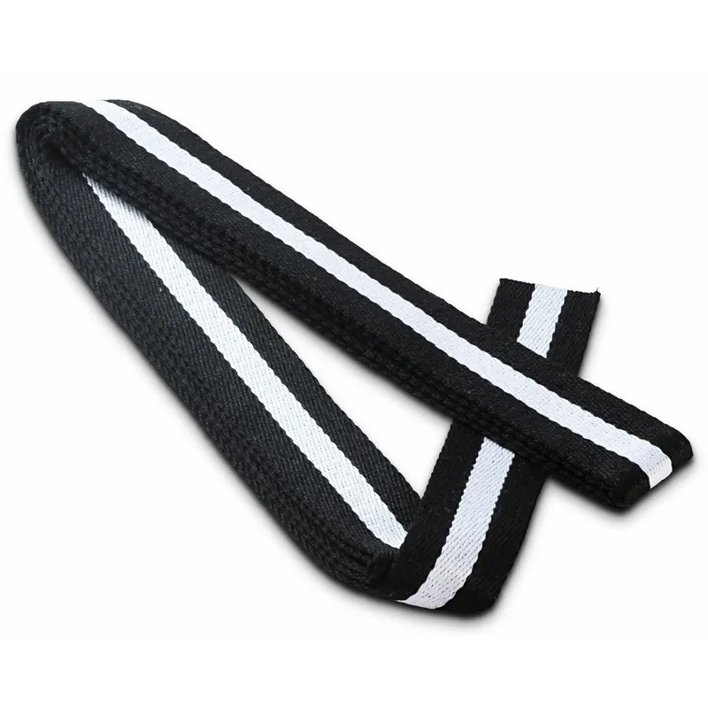 3 m Gurtband für Taschen, 40 mm, Streifen, schwarz, Prym