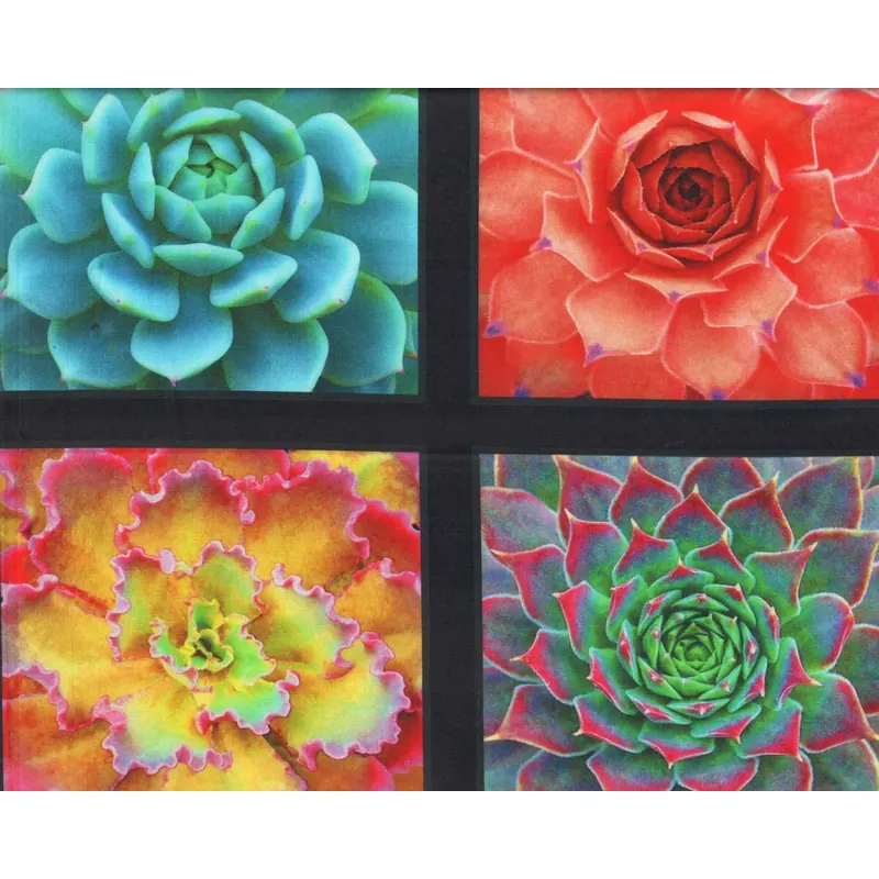 60-cm-Rapport Patchworkstoff SUCCULENT CHARM, Sukkulenten, Elizabeth's Studio