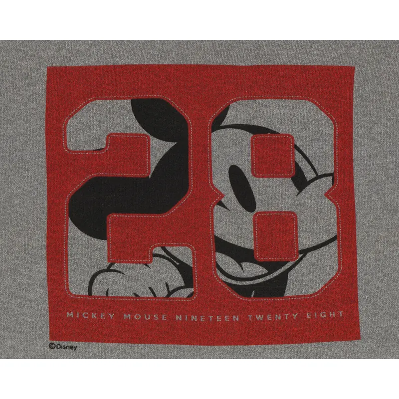 80-cm-Panel Strickstoff DISNEY, Mickey Mouse 28