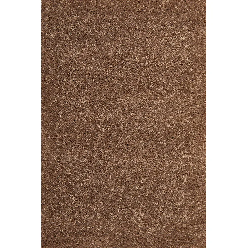 andiamo Teppichboden Proteus braun