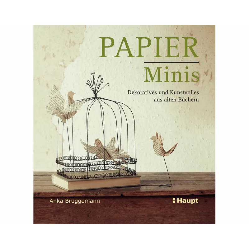 Bastelbuch: Papier-Minis, Haupt