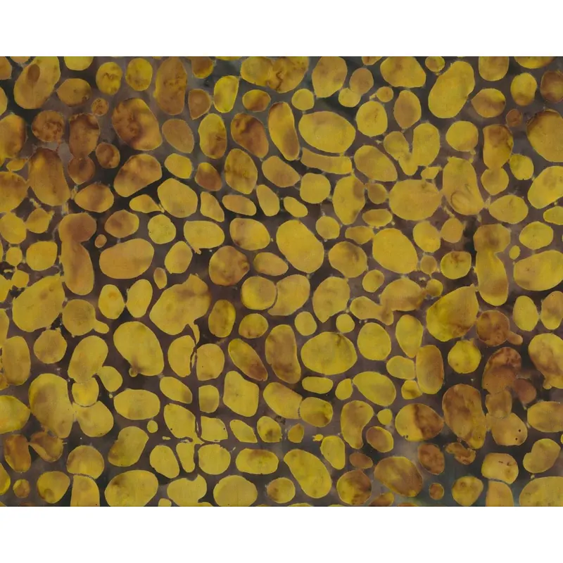 Batik-Patchworkstoff STICKS & STONES BATIKS, Steine, olivegelb-dunkelbraun, Moda Fabrics