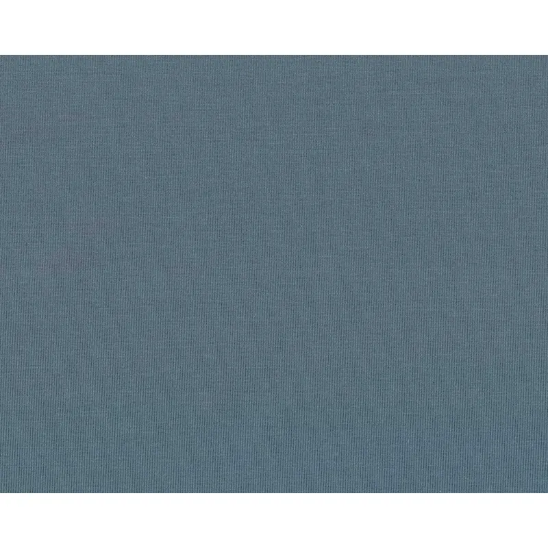 Baumwolljersey AVALANA SOLID, einfarbig, blaugrau