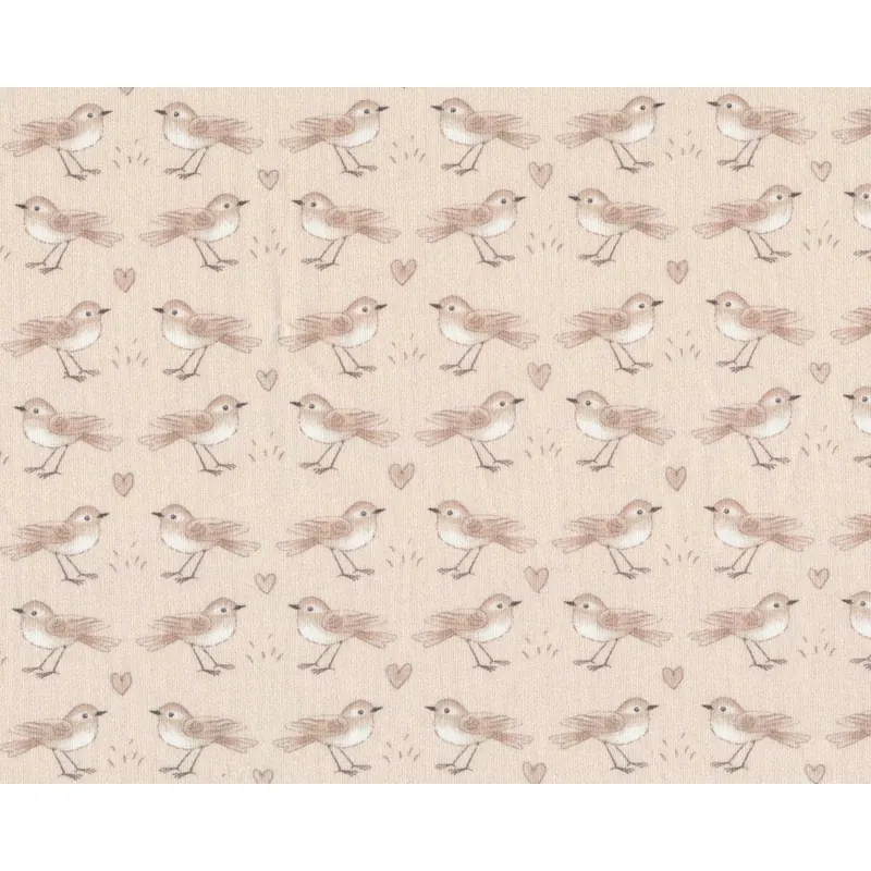 Baumwolljersey BIRD POESIE, Vögel in Reihen, hellbeige, Hilco