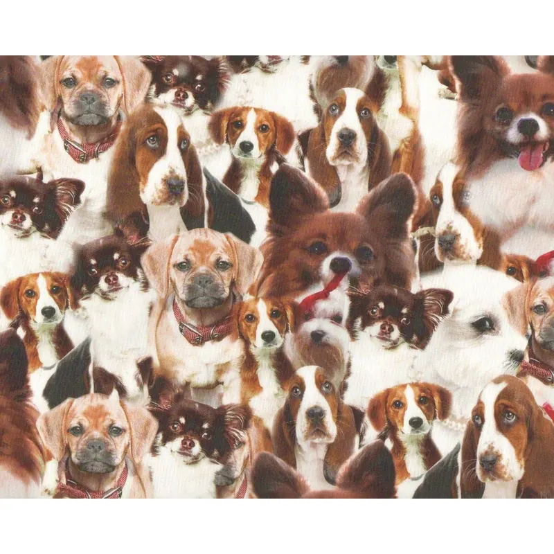 Baumwollstoff, Digitaldruck DROOPY DOGS, Hunde, braun-wollweiß