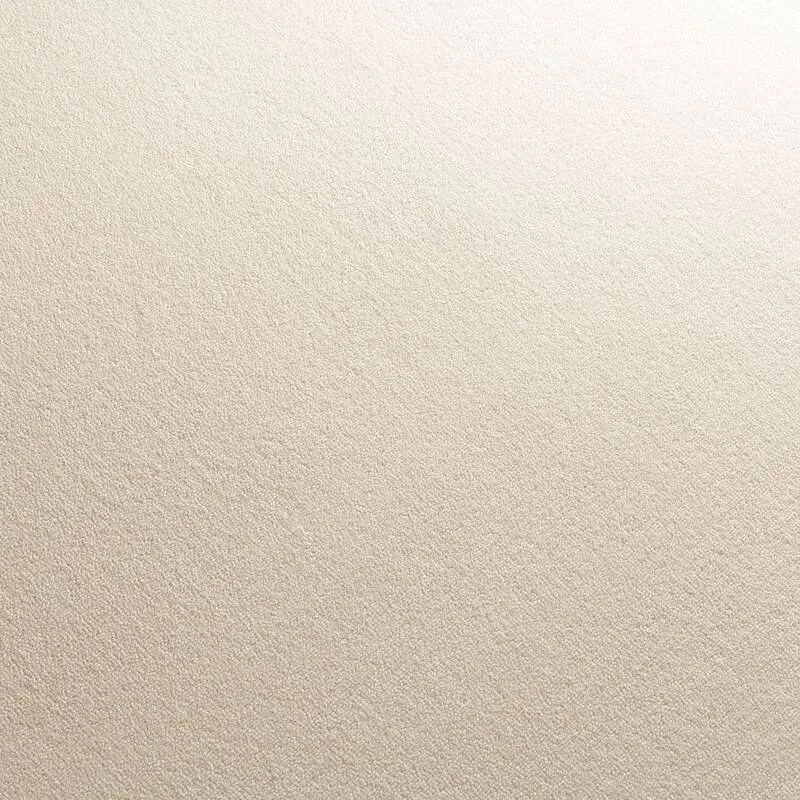 JAB Anstoetz Teppichboden Feel 3738/170