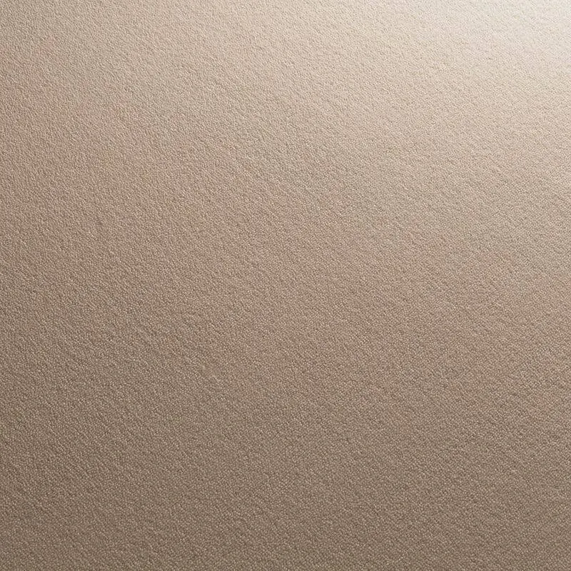JAB Anstoetz Teppichboden Feel 3738/270
