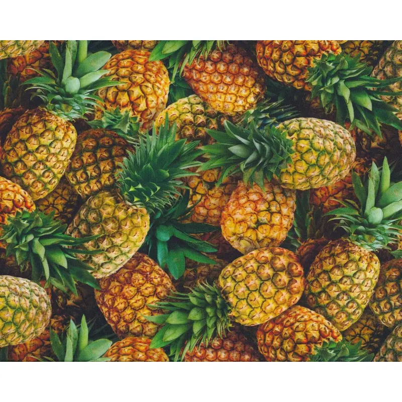 Patchworkstoff FOOD FESTIVAL, Ananas, Elizabeth's Studio