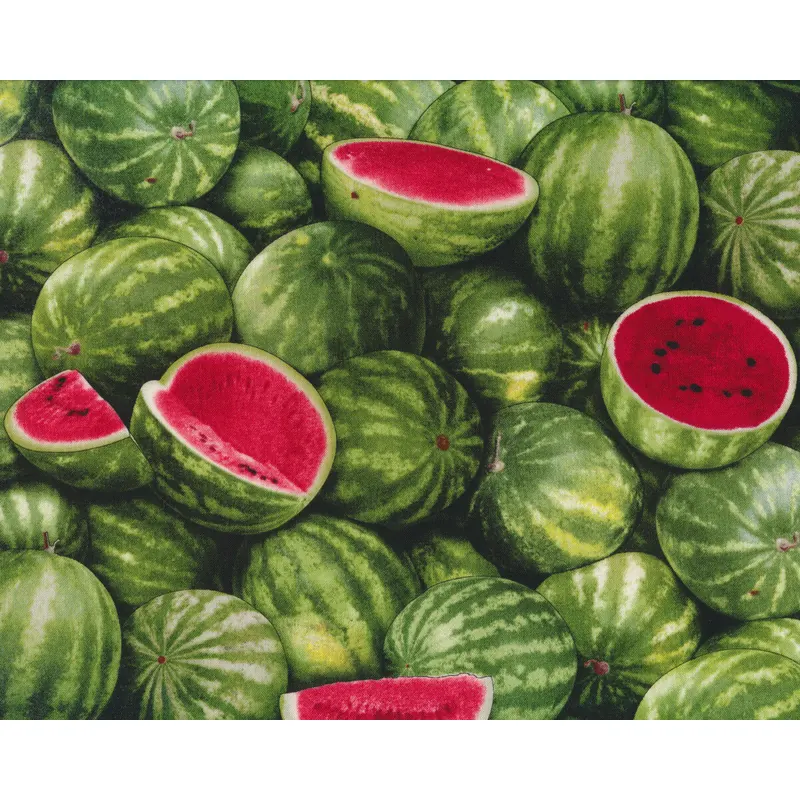Patchworkstoff FOOD FESTIVAL, Wassermelone, Elizabeth's Studio