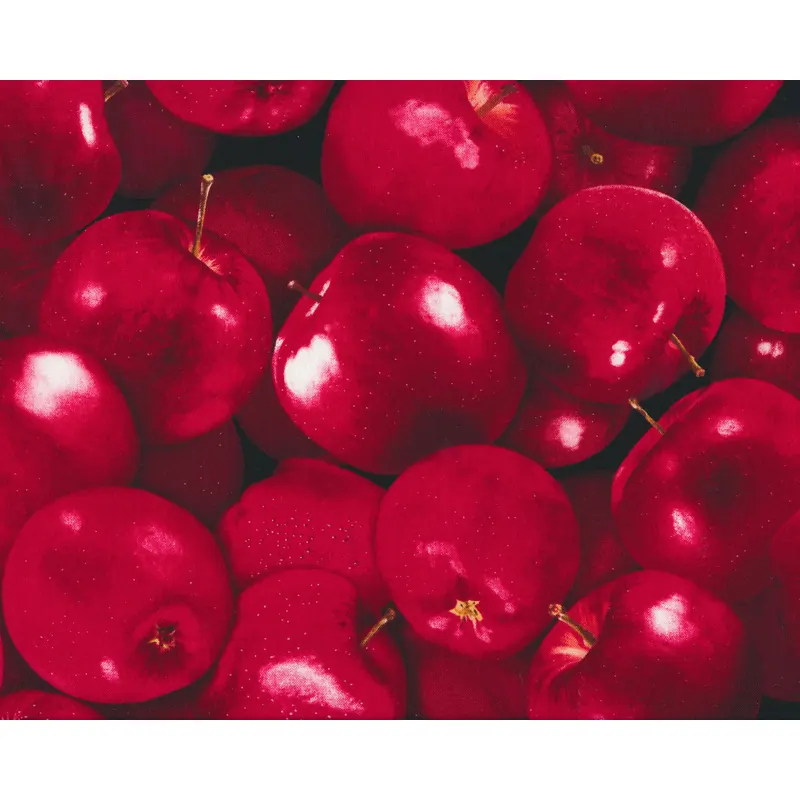 Patchworkstoff FRUIT APPLE, saftige Äpfel, rot-weinrot