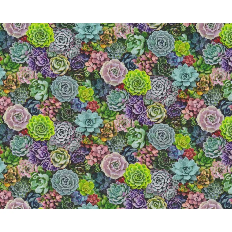 Patchworkstoff LANDSCAPE MEDLEY, Sukkulenten, Elizabeth's Studio