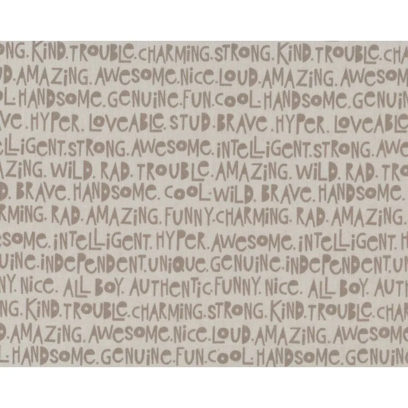Patchworkstoff MILITARY MAX, Schrift, helles beigegrau-beigegrau