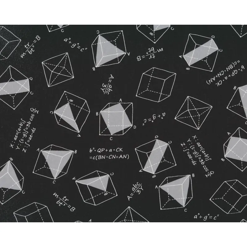 Patchworkstoff MUSINGS, Geometrie, schwarz, Robert Kaufman