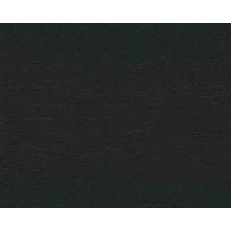 Seiden-Baumwoll-Strick SETA, schwarz, Toptex
