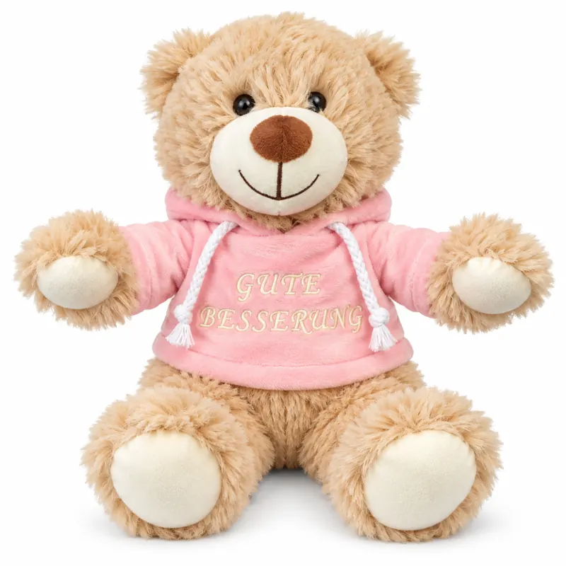 Teddybär Kuscheltier Stofftier Gute Besserung 33 cm mit rosa Kapuzenpullover