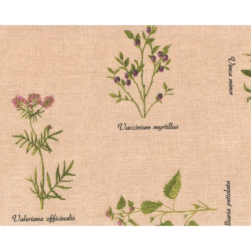 Wachstuch-Baumwollstoff ANNA STAR BOTANIC, Kräuter, beige