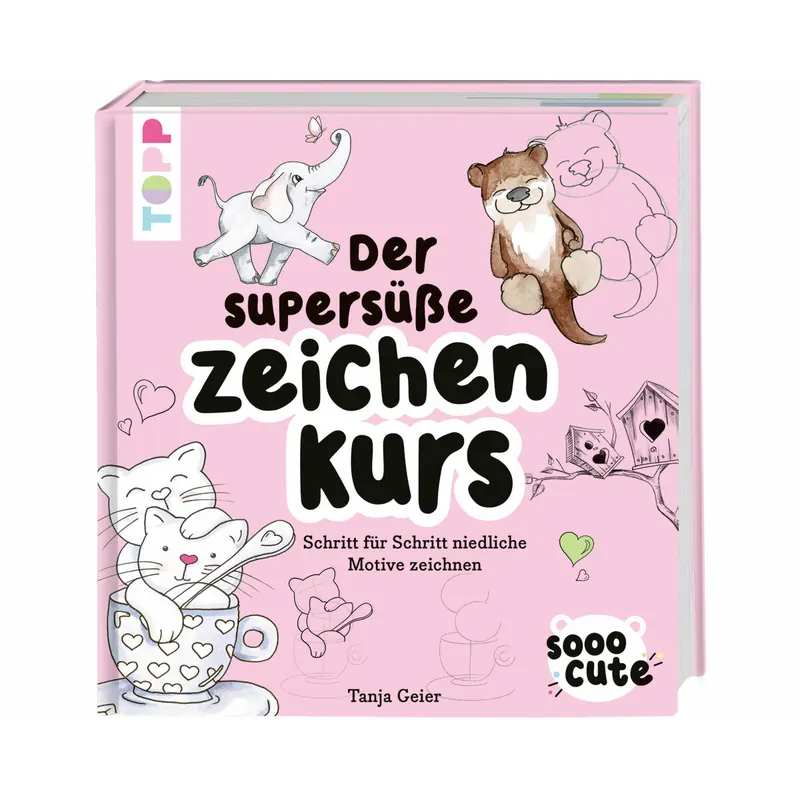 Zeichenbuch: Der zuckersüße Zeichenkurs, Topp